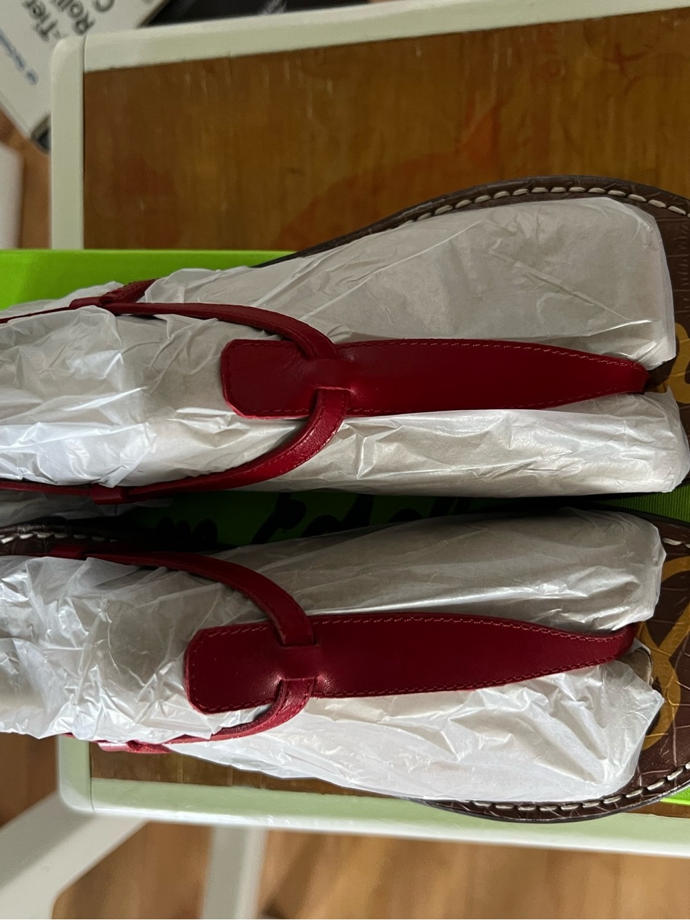 Sam Edelman Gigi Sandals in Red Leather